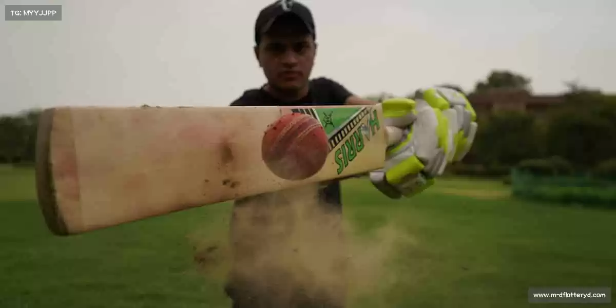 K彩——徒步旅行，探索自然🌿